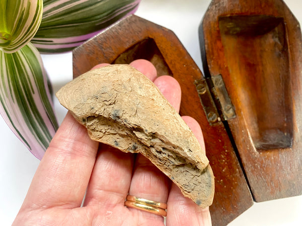 Rare Antique Memento Mori Coffin Containing Ancient Relic From Babylon Likely The Goddess Ishtar 2000BC-1750BC - Source Vintage