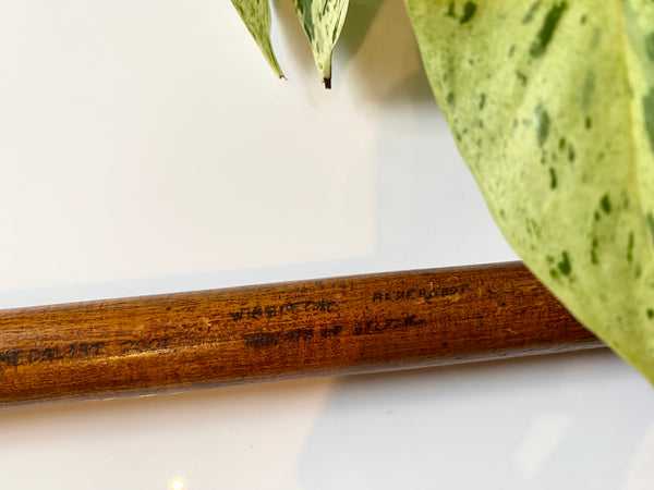 Rare Antique 19th Century Victorian Military Wooden Treen Spoon Award 1884 - Source Vintage