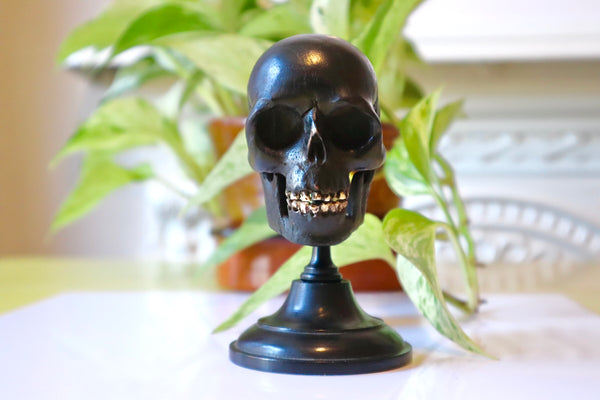 Rare Antique 19th Century Carved Ebony Memento Mori Skull c.1880 - Source Vintage