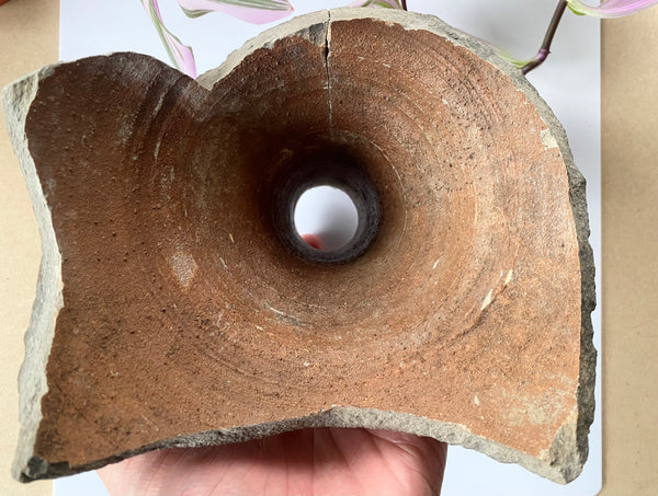 A 16th-17th Century Bellamine Jug Or Witches Bottle Fragment - Source Vintage