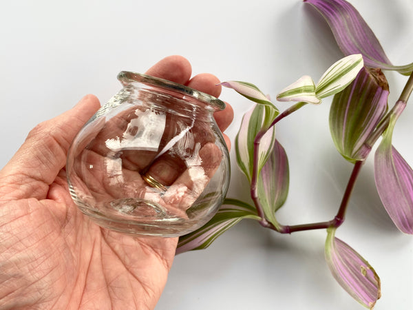 Antique 19th Glass Apothecary Leech Jar - Source Vintage