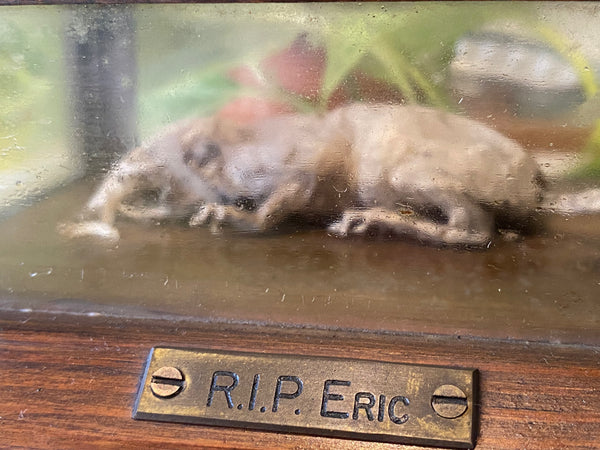 *RESERVED FOR TOM*Antique Early 20th Century Macabre Memorial Curiosity - Source Vintage