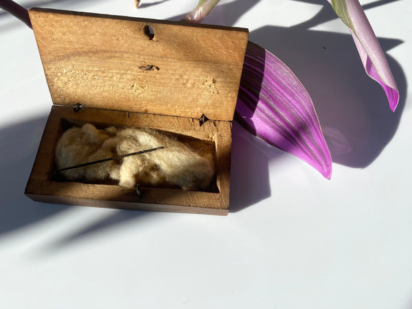 A Rare Antique 18th Century Macabre Needle In A Box Removed From A Soldier’s Belly In 1745 - Source Vintage