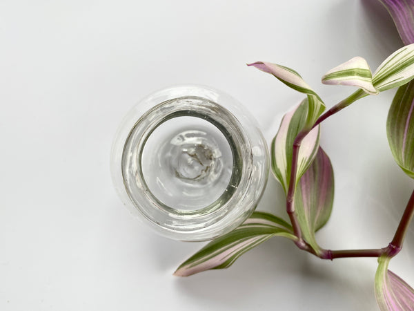 Antique 19th Glass Apothecary Leech Jar - Source Vintage