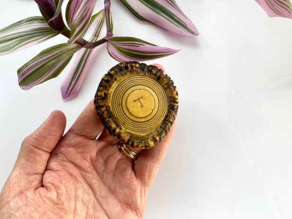 Rare Antique 18th Century Antler Snuff Box With Wolf’s Tooth And Note - Source Vintage