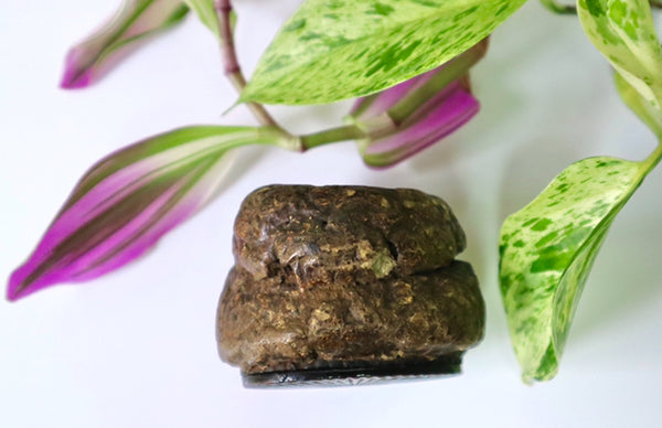 Rare Antique Victorian Papier Mache Novelty Snuff Box In The Form Of A Turd - Source Vintage