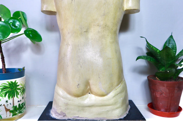Rare Antique Vintage 1930s Handpainted Plaster Anatomical Bust Teaching Aid A/F - Source Vintage
