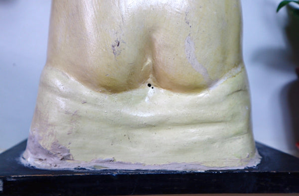 Rare Antique Vintage 1930s Handpainted Plaster Anatomical Bust Teaching Aid A/F - Source Vintage