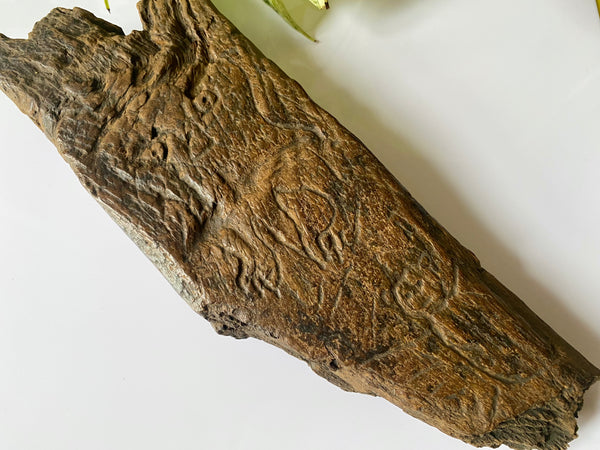 A Naive And Crudely Carved Wooden Fragment Showing Remnants Of Late Medieval Style Folk Art Graffiti. - Source Vintage