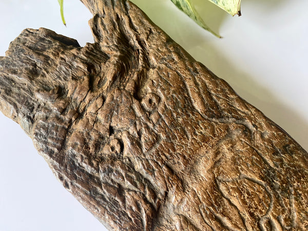 A Naive And Crudely Carved Wooden Fragment Showing Remnants Of Late Medieval Style Folk Art Graffiti. - Source Vintage