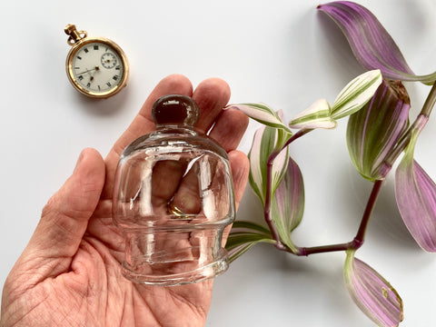 Antique 19th Century Miniature Glass Cloche - Source Vintage