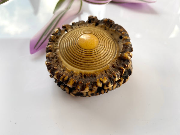 Rare Antique 18th Century Antler Snuff Box With Wolf’s Tooth And Note - Source Vintage