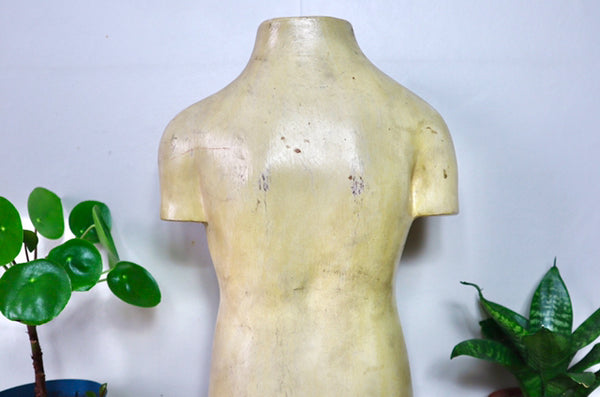Rare Antique Vintage 1930s Handpainted Plaster Anatomical Bust Teaching Aid A/F - Source Vintage