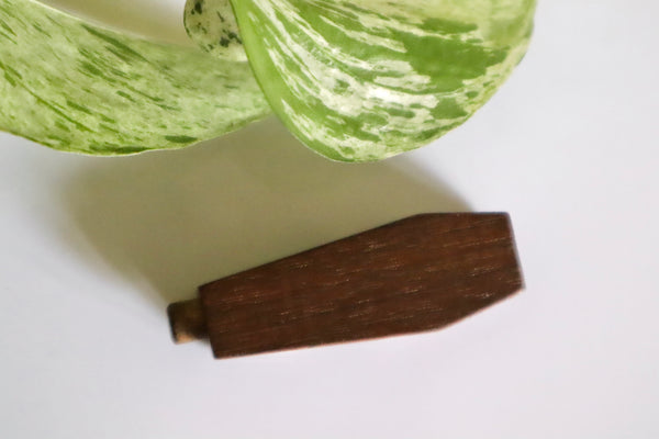 Antique Victorian Miniature Novelty Trick Treen Coffin “Talked To Death” - Source Vintage