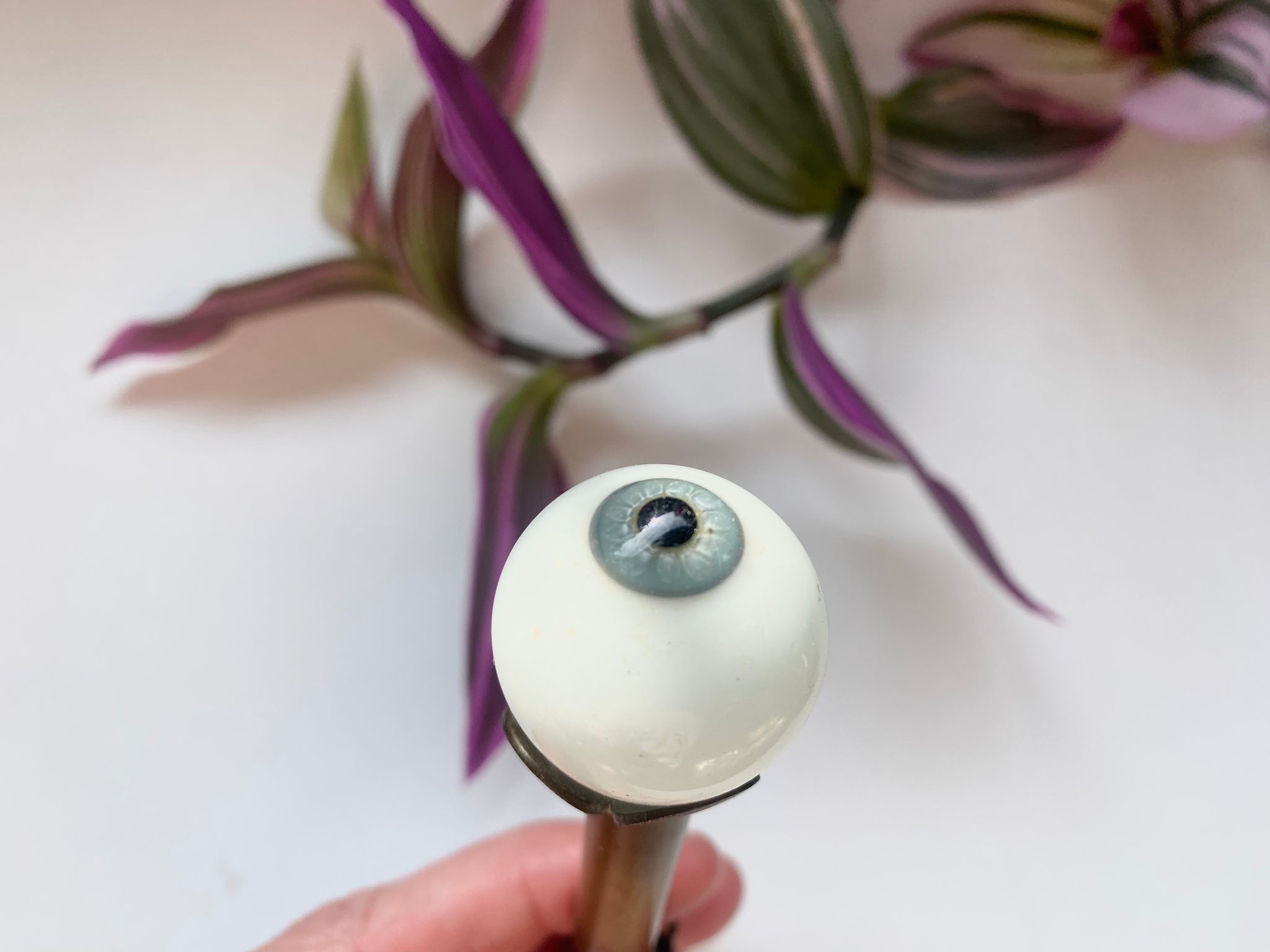 Rare Antique Mid 19th Century Uncut Handblown Glass Eye - Source Vintage