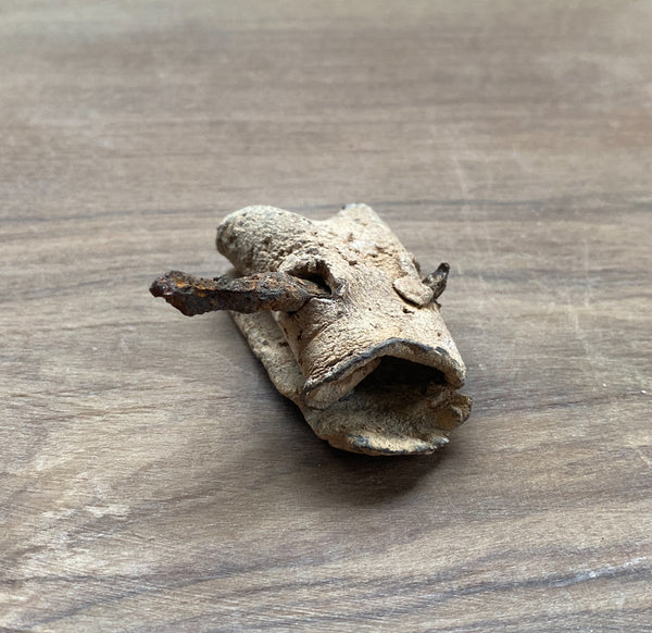 Rare Ancient Roman Lead Curse Still Sealed With Nail