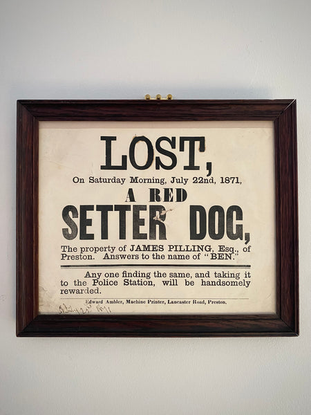 Antique 19th Century Framed Lost Dog Poster For A Dog Called Ben Dated 1871