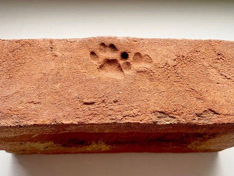 A Salvaged Victorian House Brick With The Sweetest Cat Paw Print