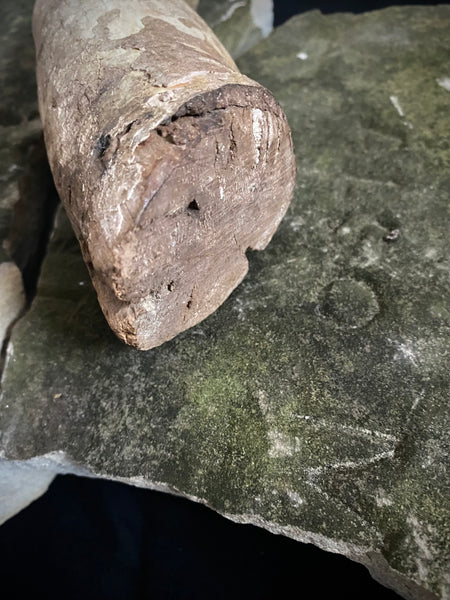 Antique 16th-17th Century Large Polychrome Wooden Arm Fragment