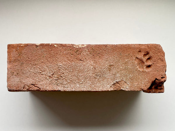 A Salvaged Victorian House Brick With The Sweetest Cat Paw Print