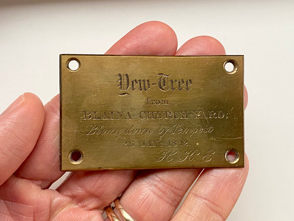 Curious Antique Victorian Brass Plaque Dedicated To A Yew Tree Blown Down By Storm Tempest 1842