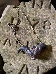 Vintage Protective Devil Pod Amulet