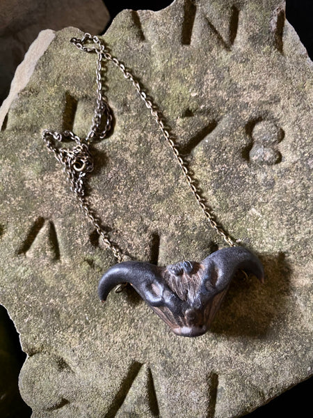 Vintage Protective Devil Pod Amulet
