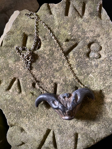 Vintage Protective Devil Pod Amulet