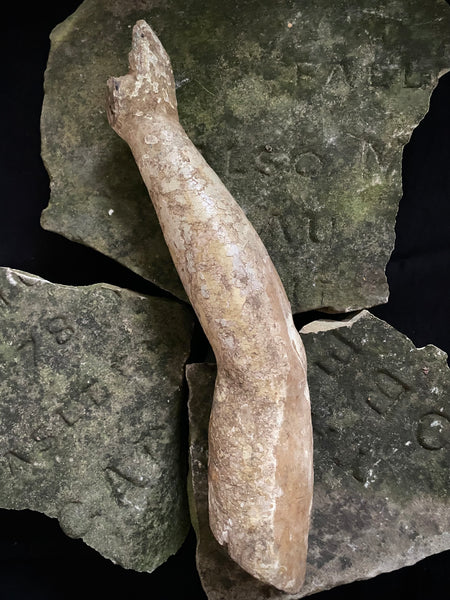 Antique 16th-17th Century Large Polychrome Wooden Arm Fragment