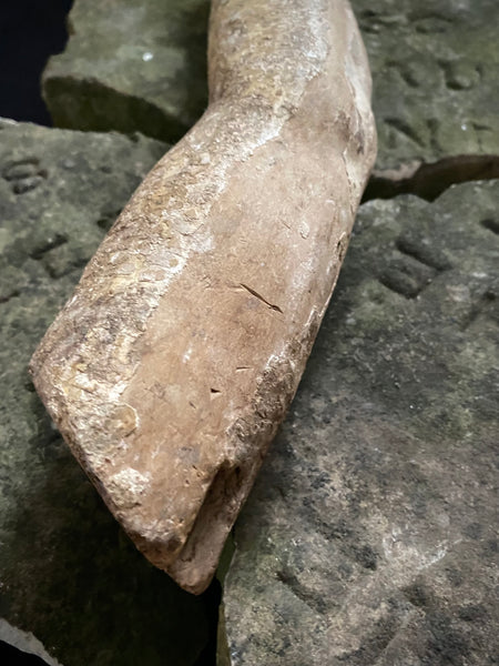 Antique 16th-17th Century Large Polychrome Wooden Arm Fragment