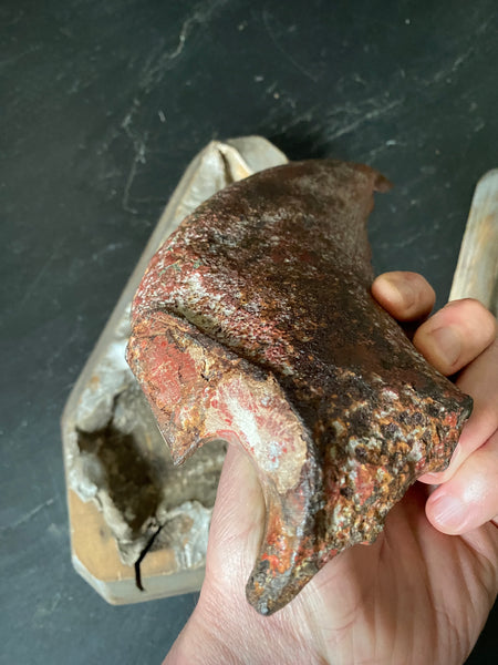 Rare Set Antique 19th Century Architectural Pattern Moulds Of A Gargoyle And Wings - Source Vintage