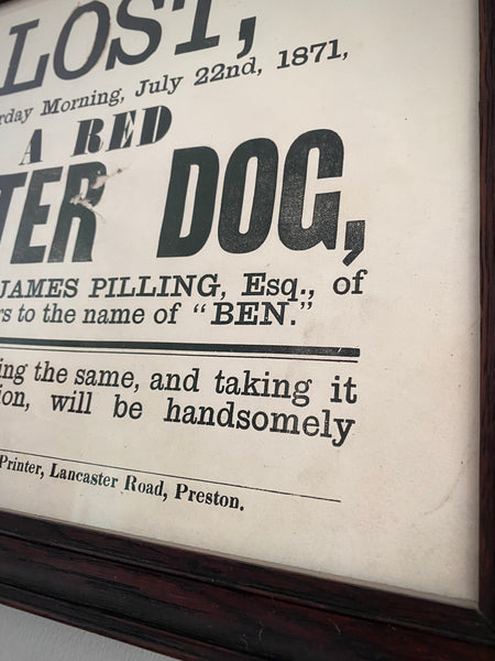 Antique 19th Century Framed Lost Dog Poster For A Dog Called Ben Dated 1871