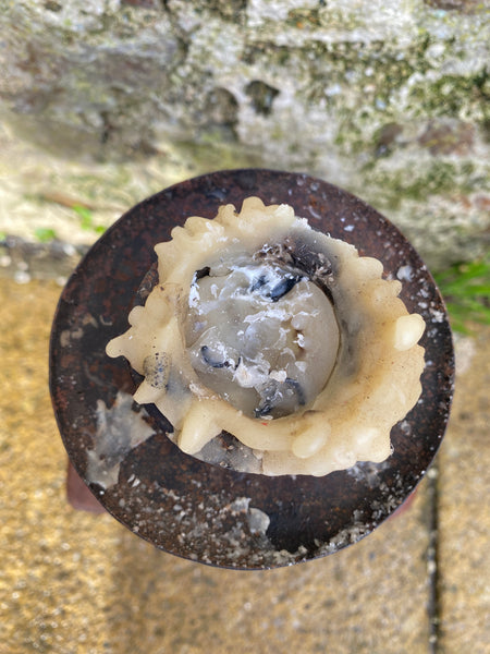 Unusual Antique French 19th Century Rustic Oak & Wrought Iron Candle Holder