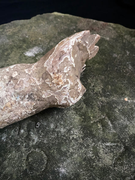 Antique 16th-17th Century Large Polychrome Wooden Arm Fragment