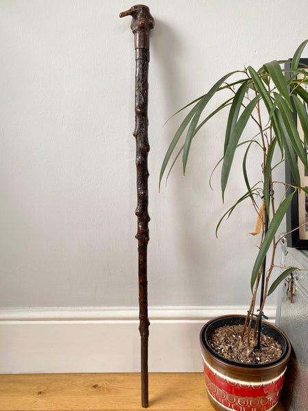 Rare Antique 18th Century Blackthorn Swordstick