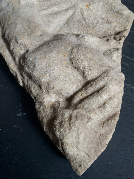 Late Medieval Architectural Ecclesiastical Carved Stone Fragment Depicting Cherub/Angel Standing Over Fallen Figure, Possibly Lucifer - Source Vintage