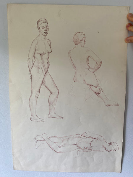 Vintage Double Sided Pen & Pencil Life Drawings Portraits Of A Nude Lady