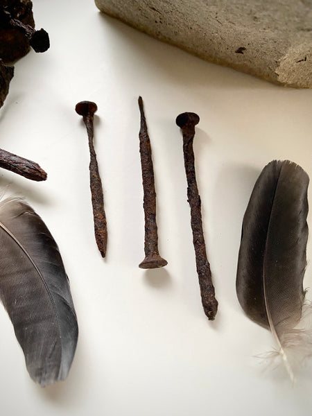 Grave Digger Collection Of An Early 19th C. Gravestone Fragment & Coffin Nails With Remnants Of Coffin Wood Of The Same Period