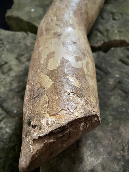 Antique 16th-17th Century Large Polychrome Wooden Arm Fragment