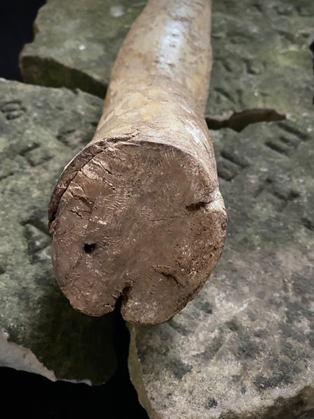 Antique 16th-17th Century Large Polychrome Wooden Arm Fragment