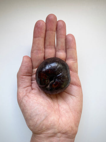 Curious Rare Antique Petrified Apple