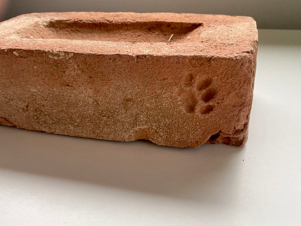 A Salvaged Victorian House Brick With The Sweetest Cat Paw Print