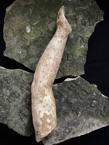 Antique 16th-17th Century Large Polychrome Wooden Arm Fragment