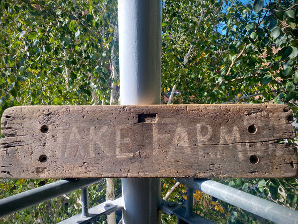 Primitive American Folk Art Shed Made ‘Snake Farm’ Sign