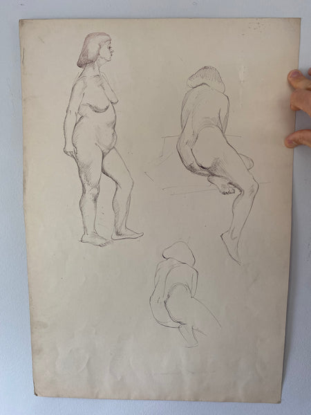 Vintage Double Sided Pen & Pencil Life Drawings Portraits Of A Nude Lady