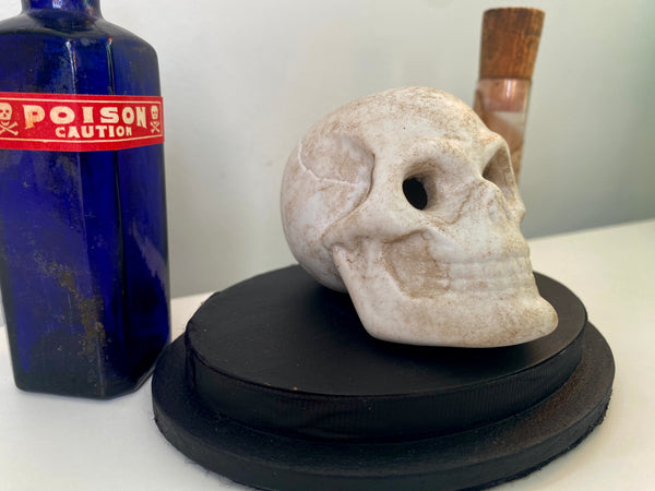 Rare Antique Victorian Parian Ware Apothecary Skull & Bottles