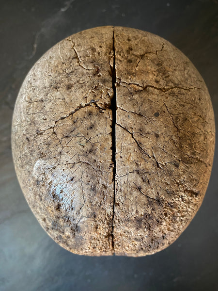 Antique Early 20th Century Milliner’s Head - Source Vintage