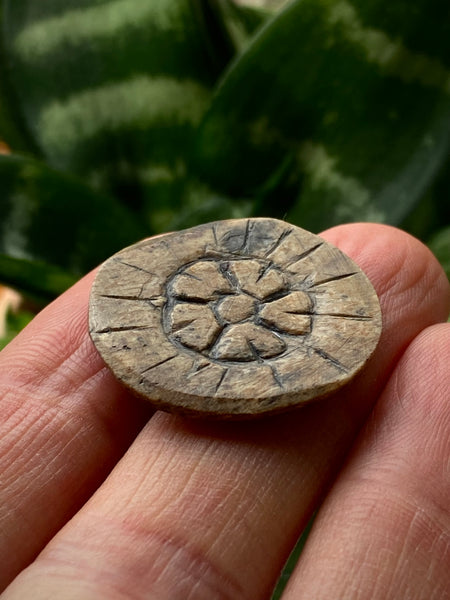 Rare Antique 16th Century Elizabethan Carved Bone Gaming Token With Floral Motif Likely A Tudor Rose