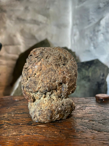 Disturbing Rare Antique 18th Century Early Composition Folk Art Witches Doll Head On Later Made Stand