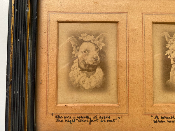 Rare Antique 19th Century Pet Dog Memorial Showing 3 Stages Of It’s Life With Poems Underneath